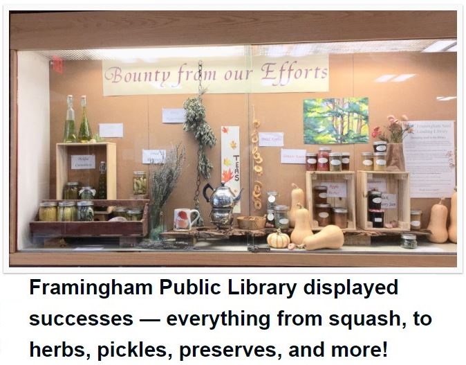 Framingham Public Library displayed successes -- everything from squash, to herbs, pickles, preserves, and more!