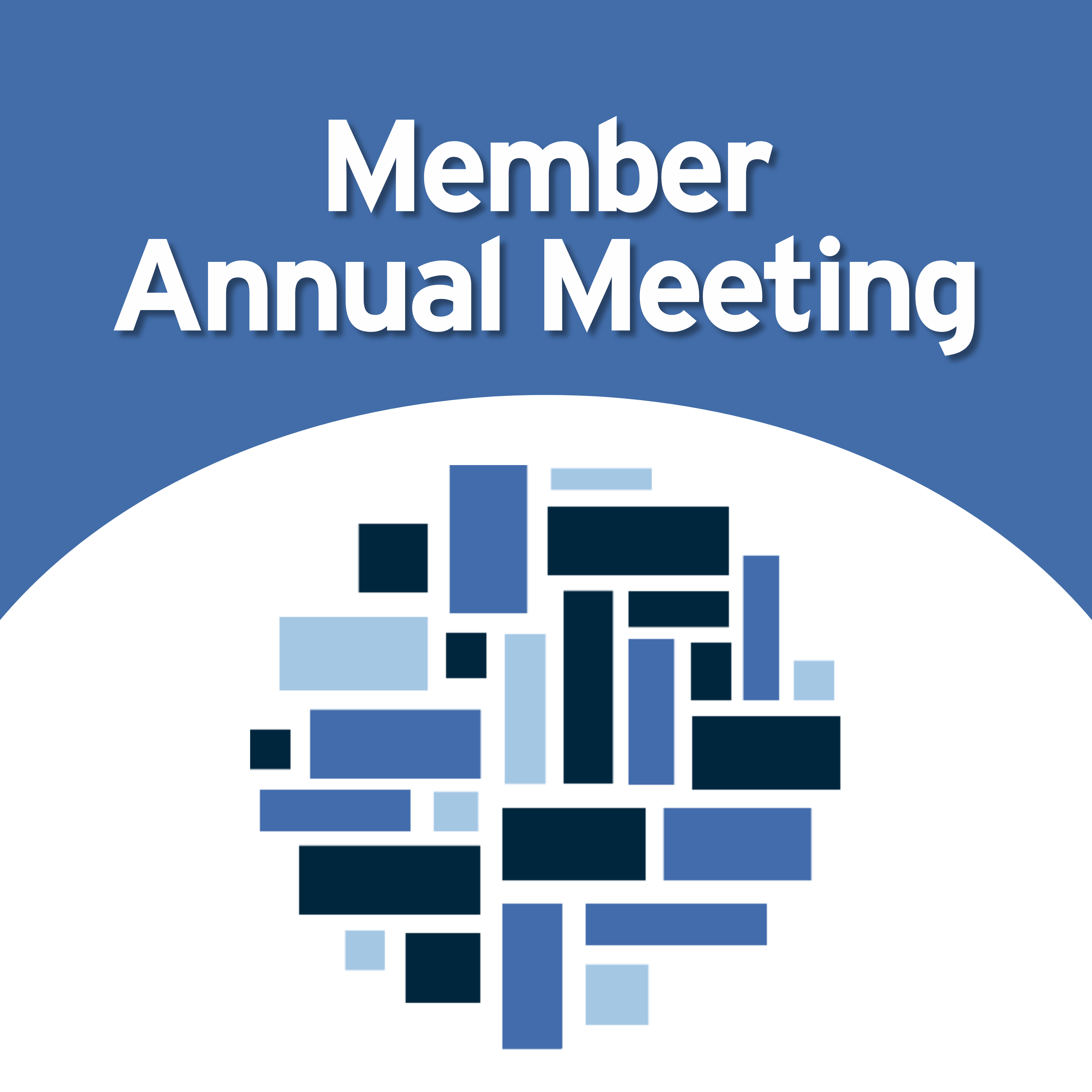 The MLS globe icon with text above reading: "Member Annual Meeting"