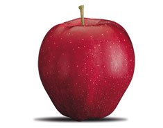 Image of apple to represent training