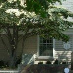 cropped-S-Cotuit-Library.jpg