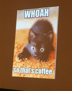 a picture of a presentation slide featuring a cat. It's a librarian thing - cats everywhere.